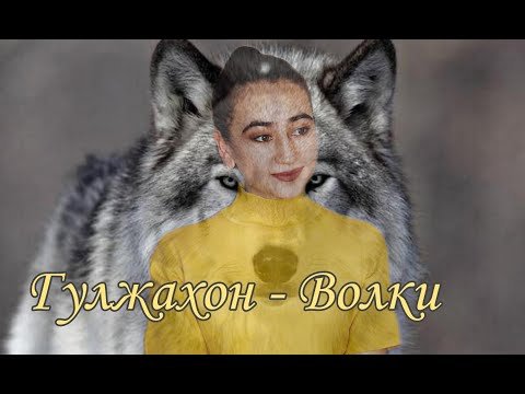 Гульжахон - Волк фото