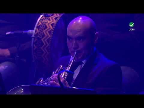 Mamdouh Saif And The Journey Begins - Concert фото