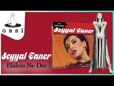 Seyyal Taner - Elalem Ne Der фото