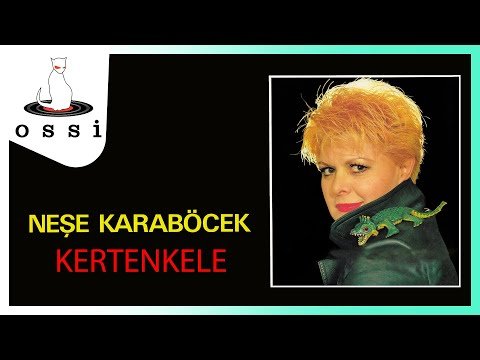 Neşe Karaböcek - Kertenkele фото