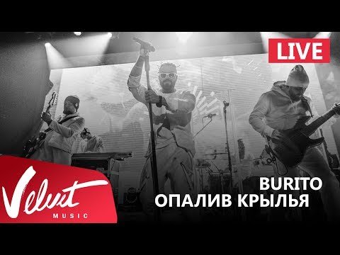 Live Burito - Опалив Крылья Сольный Концерт В Red Г фото