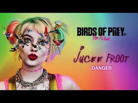 Jucee Froot - Danger From Birds Of Prey The Album фото