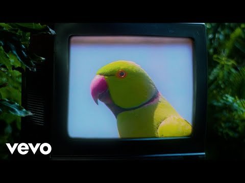 Calvin Harris - New To You Ft Normani, Tinashe, Offset фото