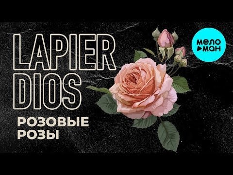 Lapier Dios - Розовые розы Single фото