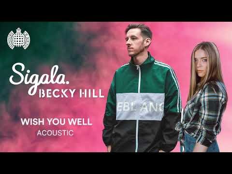 Sigala Ft Becky Hill - Wish You Well Acoustic фото