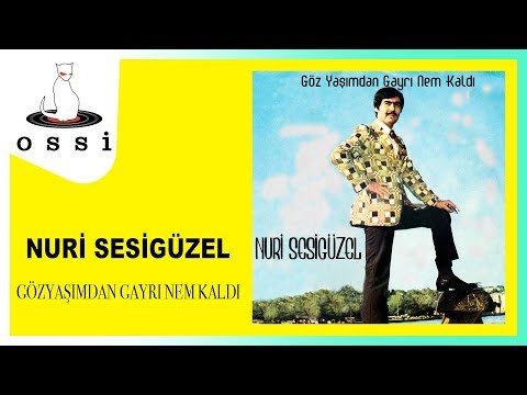 Nuri Sesigüzel - Göz Yaşımdan Gayrı Nem Kaldı фото