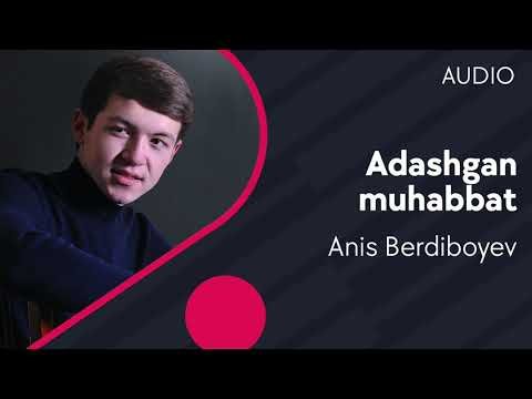 Anis Berdiboyev - Adashgan muhabbbat фото
