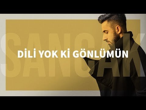 Sancak - Dili Yok ki Gönlümün Feat Gitar Barış фото