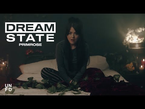 Dream State - Primrose фото