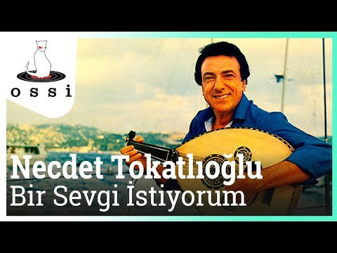 Necdet Tokatlıoğlu - Bir Sevgi İstiyorum фото