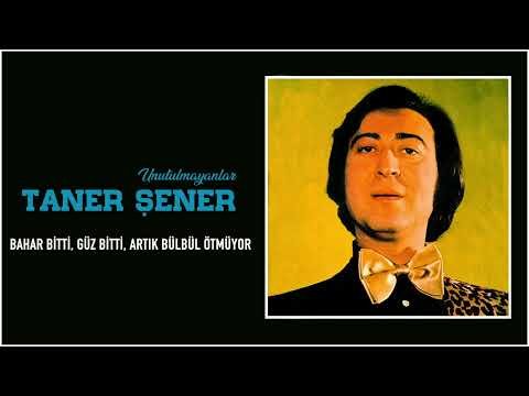 Taner Şener - Bahar Bitti, Güz Bitti, Artık Bülbül Ötmüyor фото