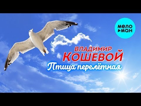 Владимир Кошевой - Птица перелётная фото