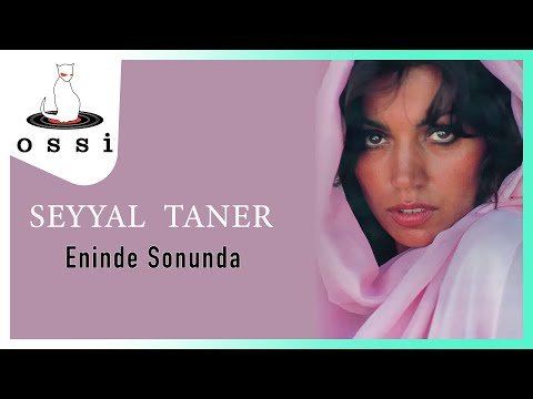 Seyyal Taner - Eninde Sonunda фото