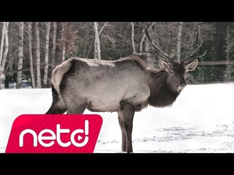 Minas Ceylin - Düştüm Gözünden фото