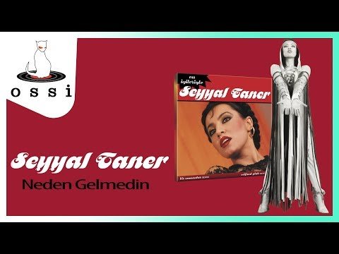 Seyyal Taner - Neden Gelmedin фото