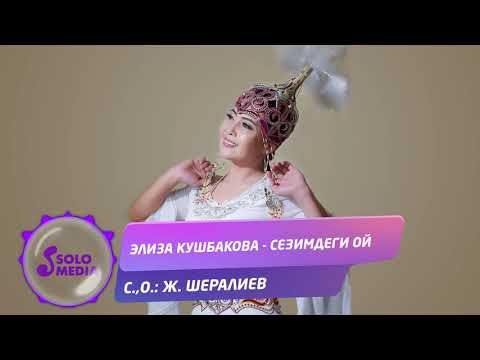 Элиза Кушбакова - Сезимдеги ой Жаны фото