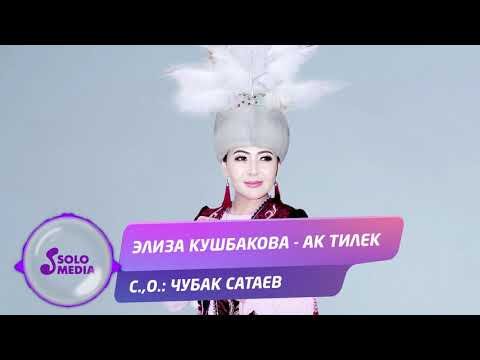 Элиза Кушбакова - Ак тилек Жаны ыр фото