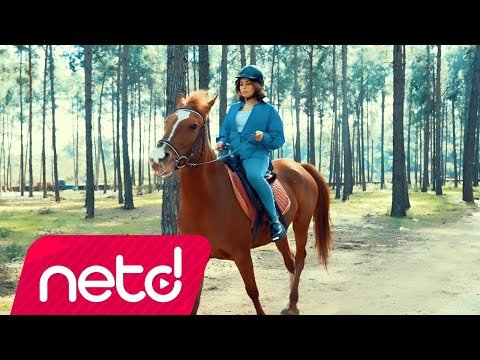 Delya Kerim - Nasıl Derim фото