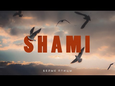 Shami - Белые Птицы Трека фото