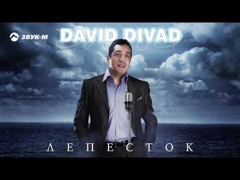 David Divad - Лепесток фото