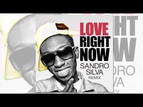 Ricky Blaze - Love Right Now Sandro Silva Remix фото