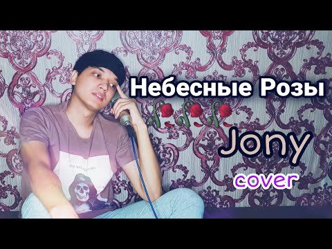 Небесные Розы - Jony Cover By Холходжаев Акмаль фото