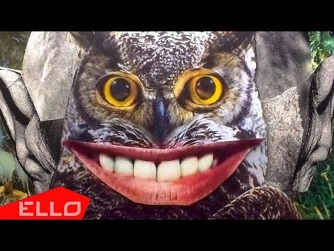 Only Drugs - Owl Party фото