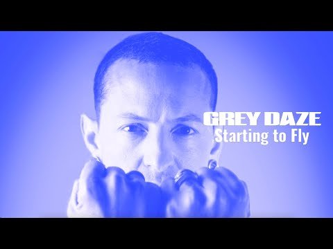 Grey Daze - Starting To Fly фото