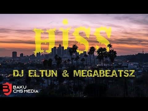 Dj Eltun, Megabeatsz - Hiss Orginal Mix фото