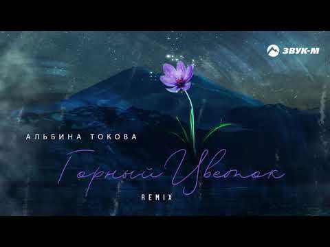 Альбина Токова - Горный Цветок Remix фото