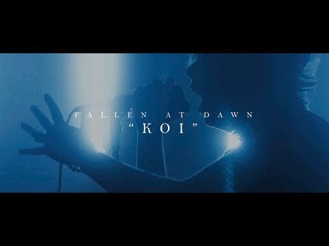 Fallen At Dawn - Koi фото