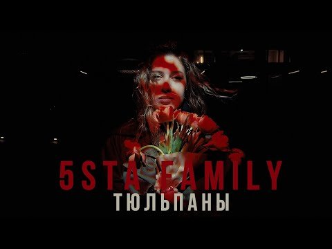 5Sta Family - Тюльпаны Mood фото